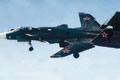 Su-47/S-37 Berkut, photo n2