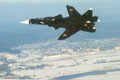 Su-47/S-37 Berkut, photo n5